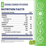 Salt Stick Energy Gummies - Green Apple - Case (10 Packets)