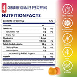 Salt Stick Energy Gummies - OMG! (Orange, Mango, Guava) - Case (10 Packets)