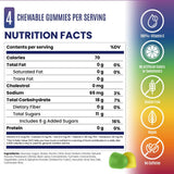 Salt Stick Energy Gummies - Rainbow Blast