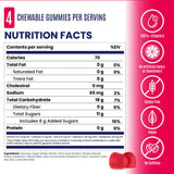 Salt Stick Energy Gummies - Strawberry